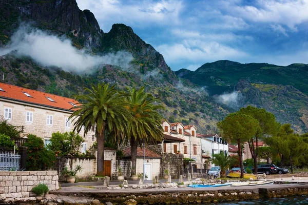 Kotor Černá Hora Června 2015 Barevné Domy Břehu Zátoky Boka — Stock fotografie