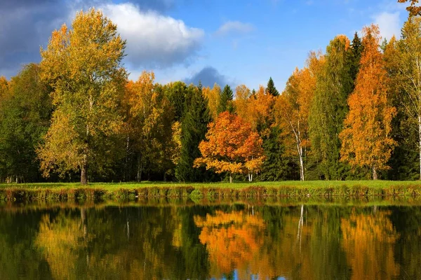 Colorful Autumn Foliage Andriver Pavlovsky Park Pavlovsk Saint Petersburg Russia — Stock Photo, Image