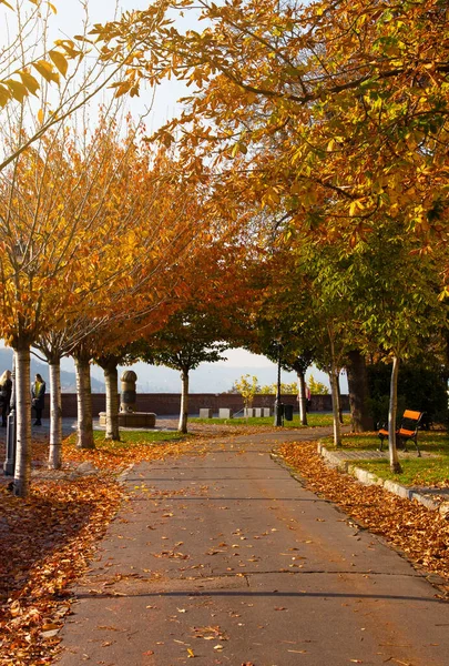 Budapest Hungary November 2015 Autumn Street Budapest Buda Side Buda — Stock Photo, Image