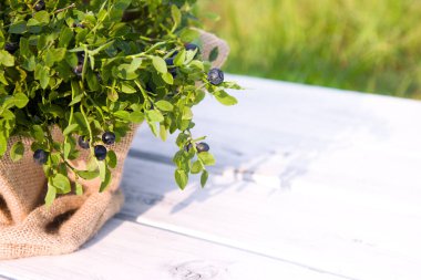 Yazın ahşap arka planda kumaş çantada yabanmersini.