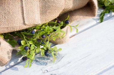 Yazın ahşap arka planda kumaş çantada yabanmersini.