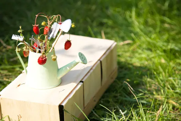 Ποτιστήρι Άγρια Φράουλα Και Εργαλεία Κήπου Πράσινο Γρασίδι Θερινή Κηπουρική — Φωτογραφία Αρχείου
