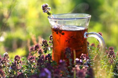 Yazın kekik otlarının içinde bir fincan sıcak bitkisel çay. Güneşli bir günde Türk fincanı