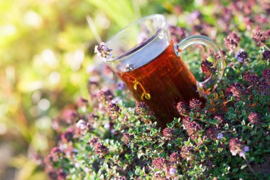 Yazın kekik otlarının içinde bir fincan sıcak bitkisel çay. Güneşli bir günde Türk fincanı