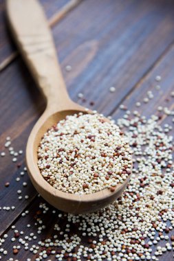Tahta kaşıkta organik kinoa taneleri, glütensiz. Sağlıklı yemek kavramı. Diyet olsun. Chenopodium kinoası tohumları