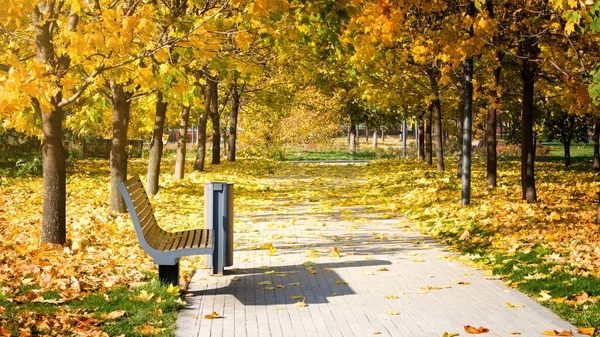 Bench City Park Golden Autumn Sunny Day — Stock Photo, Image