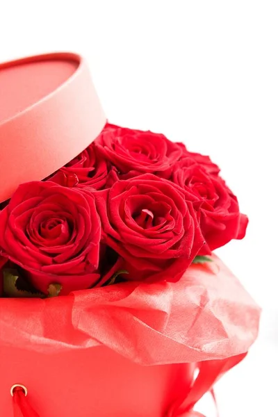 Роскошные Красные Розы Бумажной Коробке Шляпы Белом Фоне Романтический Подарок — стоковое фото