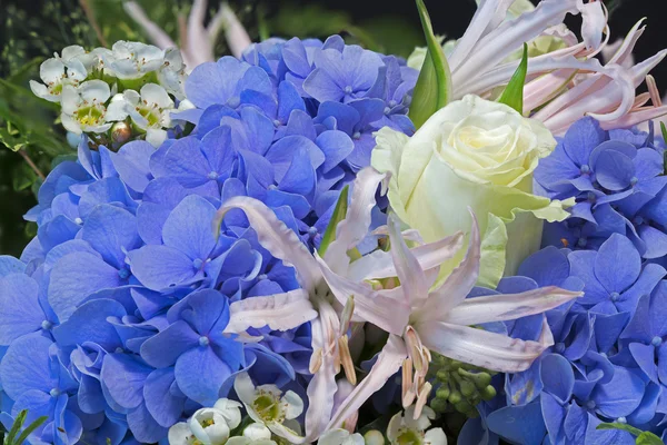 Bouquet of flowers with blue Hydrangea and roses — Stock Photo, Image