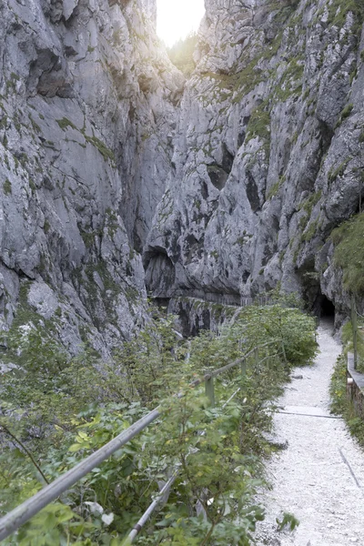 Mendaki di dalam jurang Hoellentalklamm di Bavaria, Jerman — Stok Foto