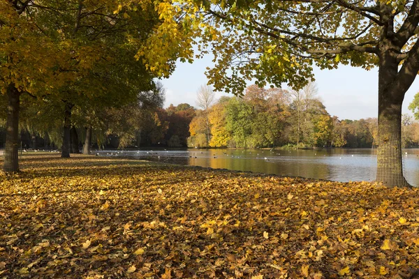 Le jardin anglais à Munich, en Allemagne, en automne — Photo
