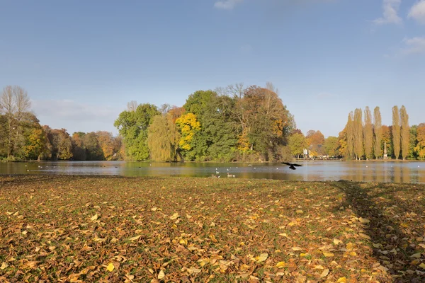 Le jardin anglais à Munich, en Allemagne, en automne — Photo