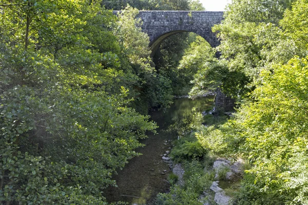 Eski taş köprü Ardèche bölgesinde, Fransa — Stok fotoğraf
