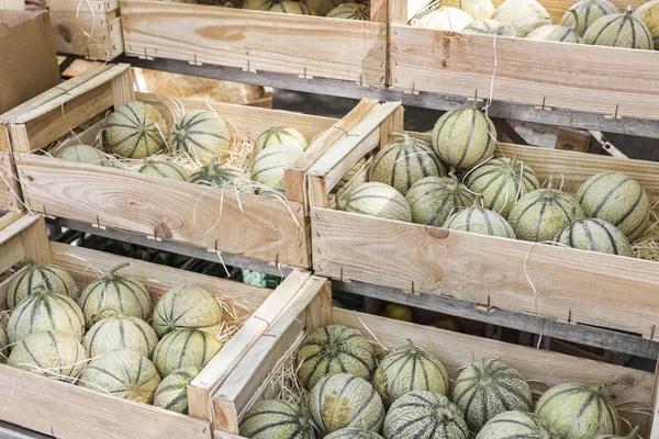Verse meloenen op een markt in Frankrijk — Stockfoto