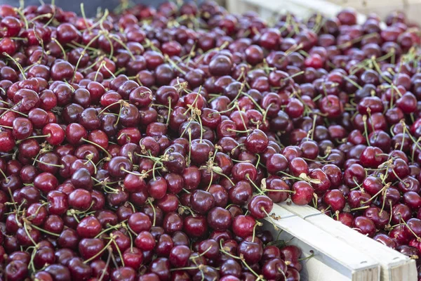 Ripe cherries on a market in France — Stock Photo, Image