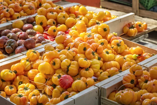 Fresh tomatoes on a market in France — Stock Photo, Image