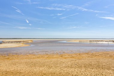 Güney Camargue bölgesinde, Güney Fransa tipik peyzaj
