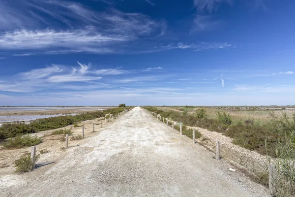 Typisch landschap in het zuidelijke district van de Camargue, Zuid-Frankrijk — Stockfoto