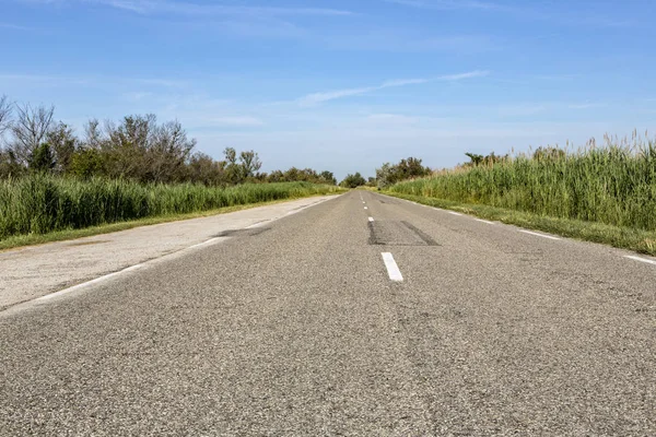 Landsväg i södra Camargue distriktet, södra Frankrike — Stockfoto