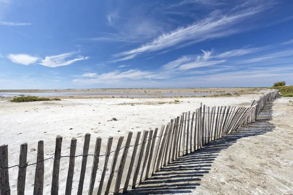 Güney Camargue bölgesinde, Güney Fransa tipik peyzaj — Stok fotoğraf