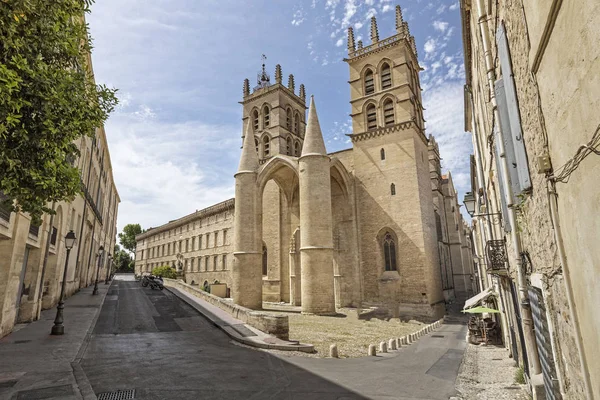 Montpellier cathedral, Southern France — Stock Photo, Image