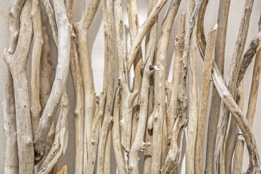 Bir duvara yaslanmış dalgaların karaya attığı odun