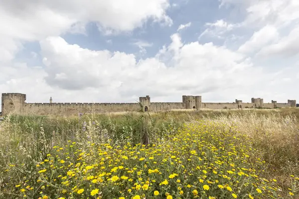 Τυπικό τοπίο στην περιοχή Camargue στη Νότια Γαλλία — Φωτογραφία Αρχείου