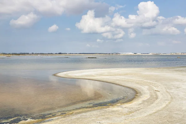 Pond for producing seas salt in the Camargue district, Southern France — Stock Photo, Image