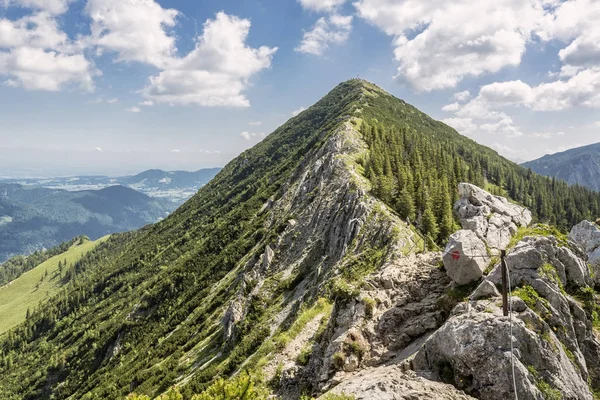 Trail Leading Brecherspitze Peak Upper Bavaria Germany — Stock Photo, Image