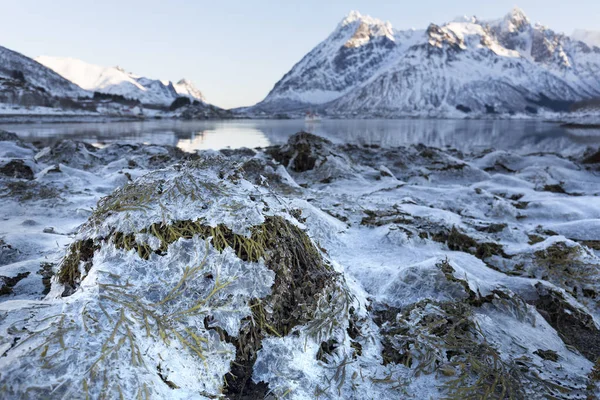 Inverno Nas Ilhas Lofoten Noruega Europa — Fotografia de Stock