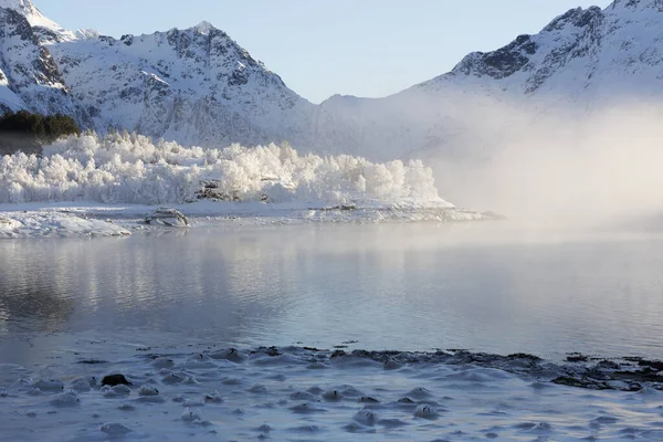 Зима Лофотенских Островах Норвегии Европа — стоковое фото