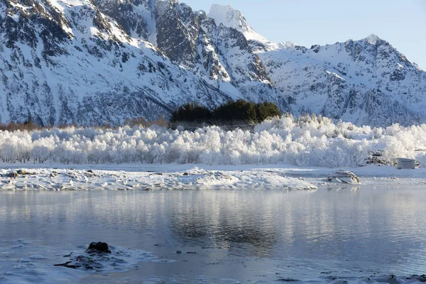 Norveç Avrupa Daki Lofoten Adalarında Kış Mevsimi — Stok fotoğraf