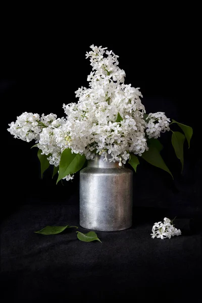 Fleurs Syringa Blanc Dans Une Vieille Boîte Lait Sur Fond — Photo