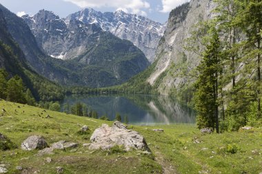 Almanya, Bavyera 'da Obersee Gölü, yazın
