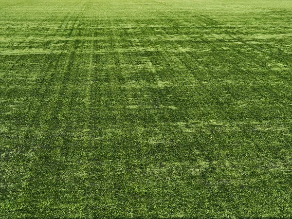 Trawa na stadionie. Bliska jako tło — Zdjęcie stockowe