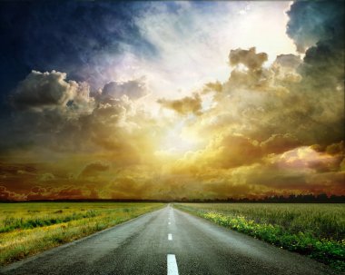 kuş ve yol üzerinde bir düşüş