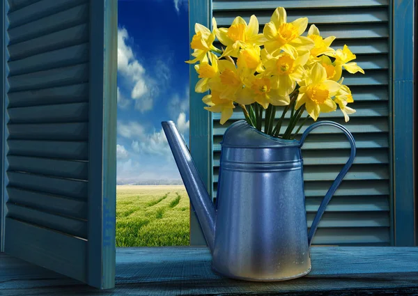 Watering can with daffodils — Stock Photo, Image