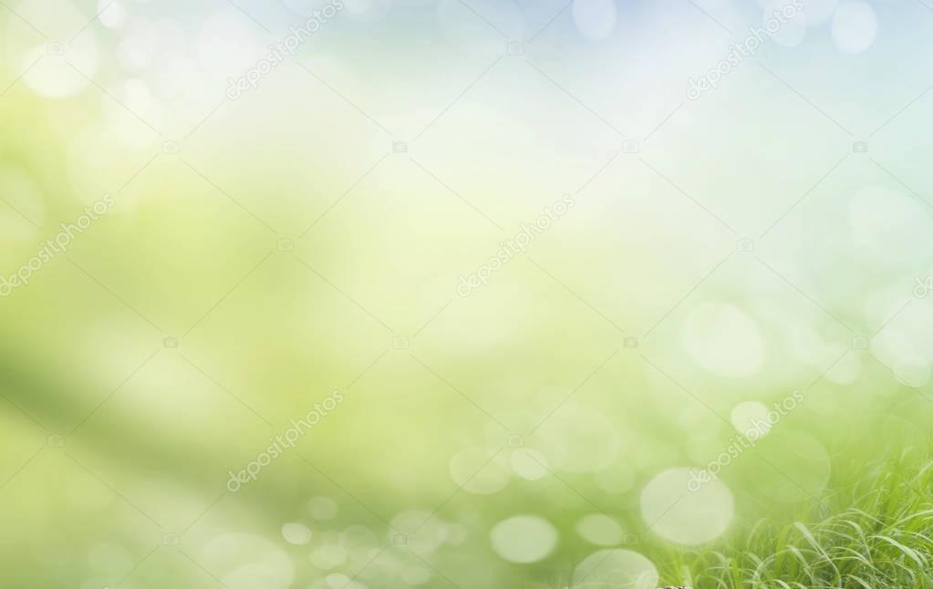 abstract spring background with bokeh effects. 