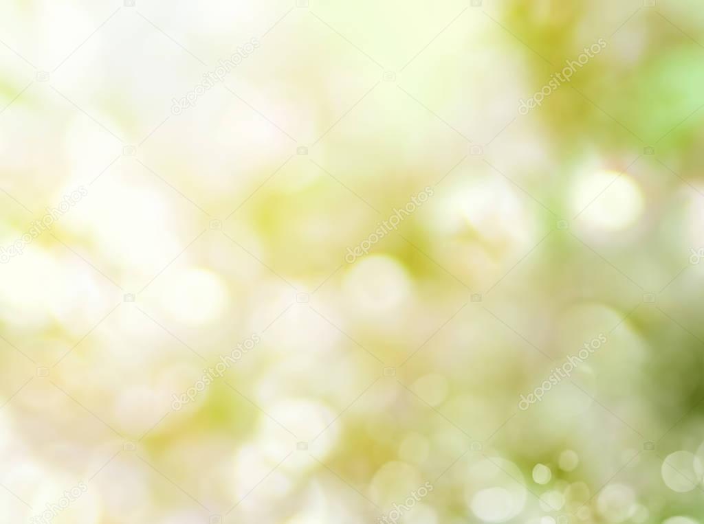 Sakura branch, pink on the background of a bokeh