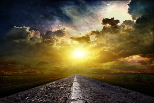 Bird and road on a decline