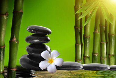 Spa taşlar, bambu ile frangipani