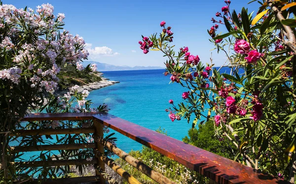 Řecko, ostrov Zakynthos — Stock fotografie