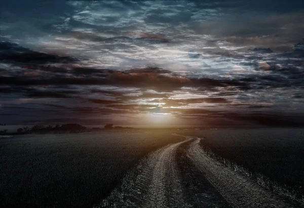 Countryroad night bright illuminated large moon — Stock Photo, Image