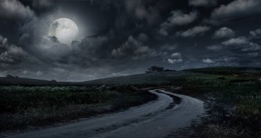 Çayır gece arka planı ile kırsal yol