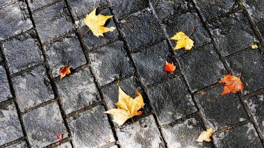 Sonbahar, yağmurlu gün