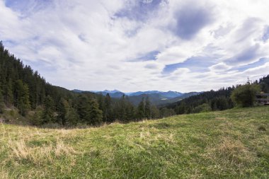 Çim sahası orman ve dağ ile