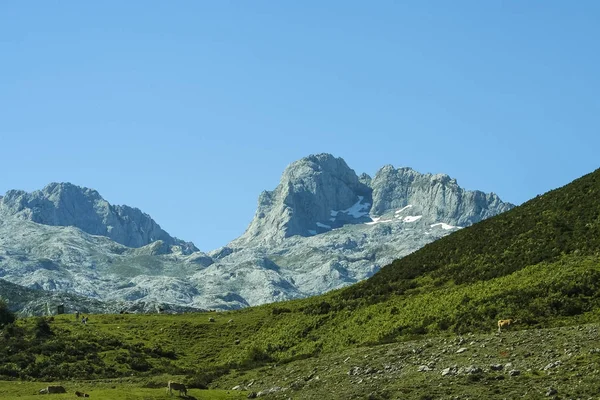 Topparna i Europa Asturias, Spanien — Stockfoto