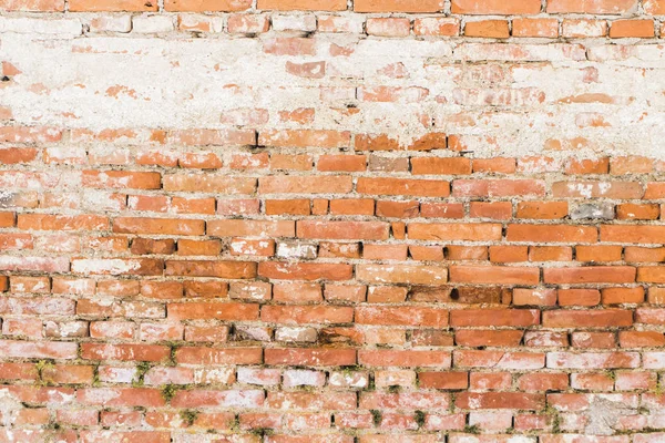 Kırmızı tuğla duvar arkaplanı — Stok fotoğraf