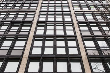 windows gün ışığı yansımaları ile bina cephe