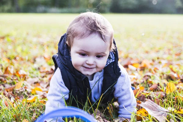 Bebê brincando na grama entre folhas secas no outono — Fotografia de Stock