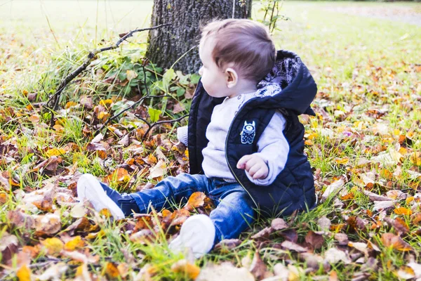 Bebê brincando na grama entre folhas secas no outono — Fotografia de Stock